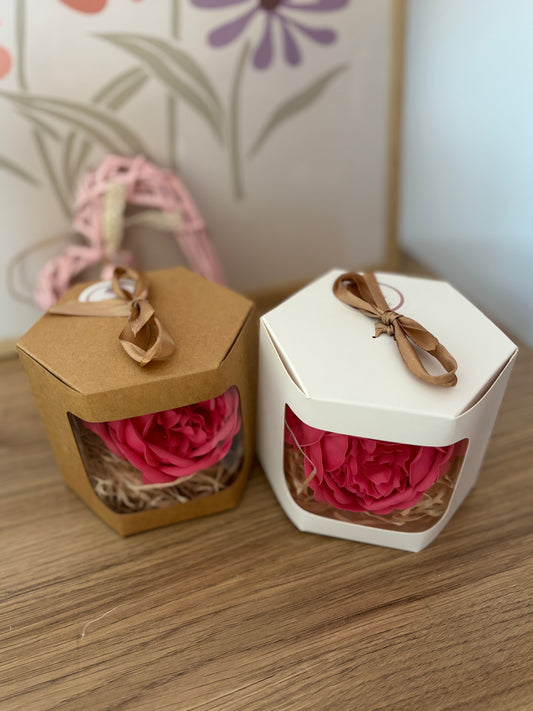 Coffret pivoine Fushia
